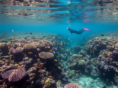 Snorkel en calas de agua turquesa
